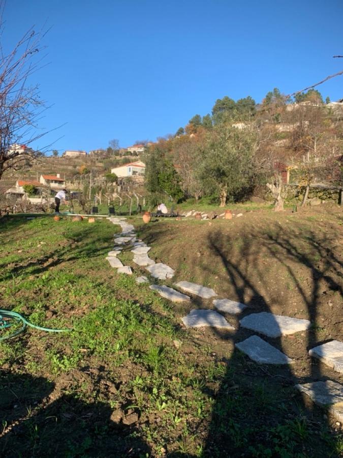 Casa Da Horta - Douro Portugal Holiday home